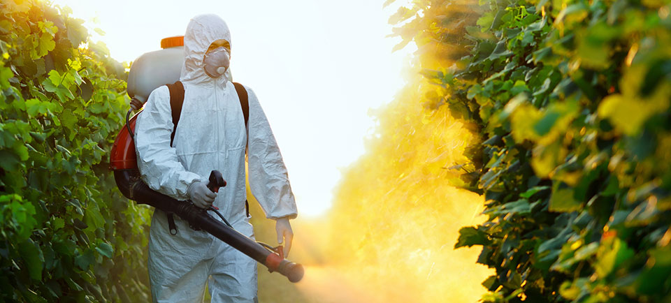 ev ilaçlama,ofis ilaçlama,ilaçlama